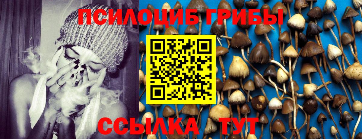 Галлюциногенные грибы MAGIC MUSHROOMS Джанкой