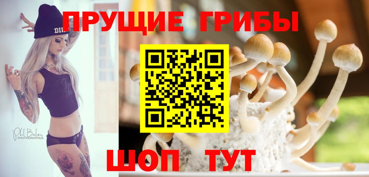 Псилоцибиновые грибы мицелий  Галлюциногенные грибы Magic Shrooms  Джанкой  Вход с VPN 